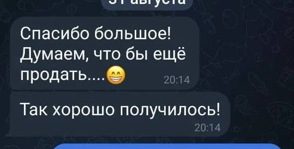 Фрагмент переписки после сделки — источник provikupmsk.ru